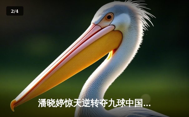 潘晓婷惊天逆转夺九球中国赛冠军，决胜局黑八绝杀震撼全场 - 2